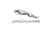 coming_jaguar_large